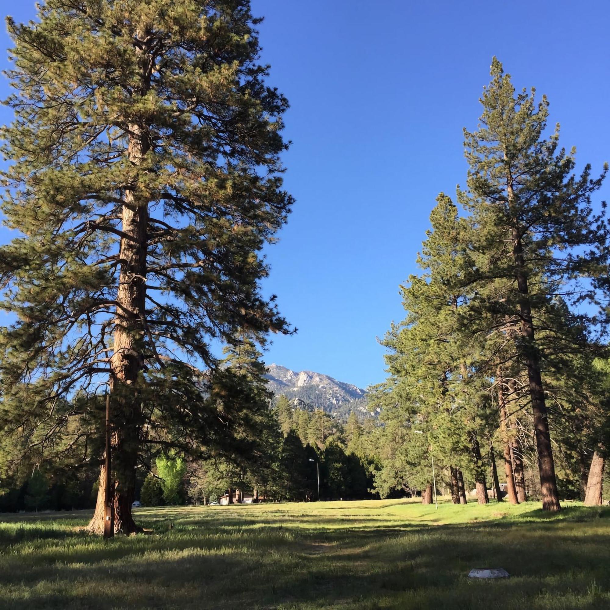 Ferienhaus Ahwahnee-be Vintage - Walk To Town!